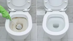 Nettoyage des WC sans javel : comment enlever le tartre avec vitamine C et vinaigre